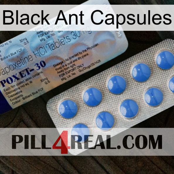 Black Ant Capsules 39.jpg